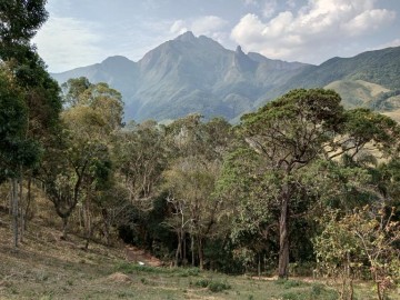 Chcara - Venda - Pico dos Marins - Piquete - SP