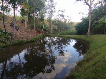 Stio - Venda - Cornelinho - Lorena - SP