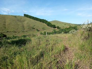 Chcara - Venda - Taboo - Lorena - SP