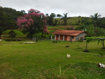 Stio - Venda - Rocinha - Guaratinguet - SP