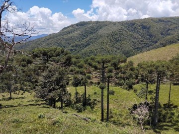 Stio - Venda - / - Delfim Moreira - MG