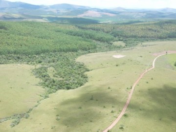 Fazenda - Venda - / - Bom Jardim de Minas - MG