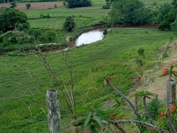 Chcara - Venda - / - Silveiras - SP