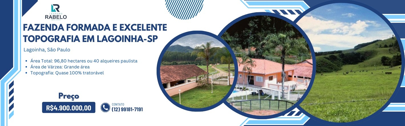 Referencia 981 Referencia 981